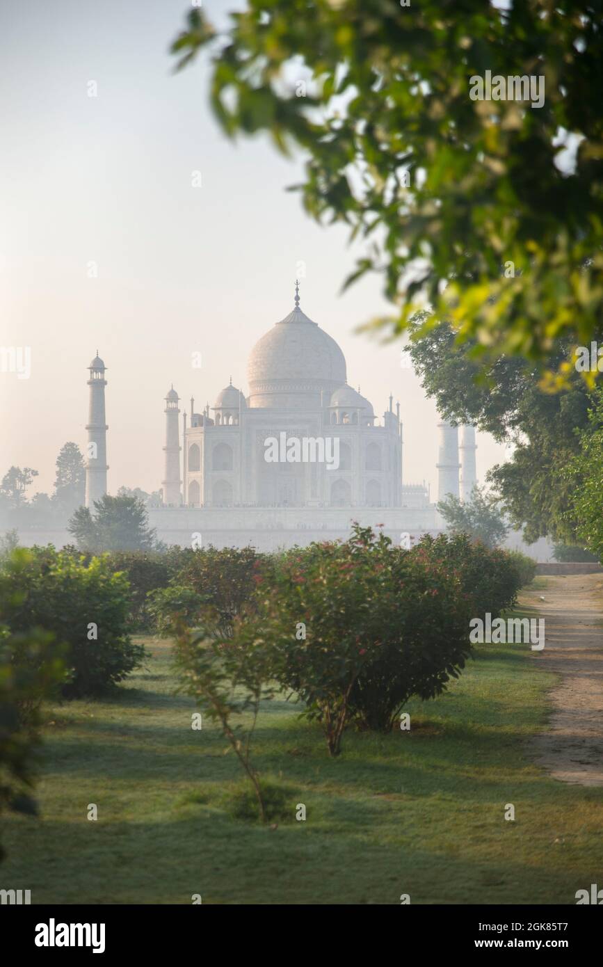 Taj Mahal im Morgengrauen aus Mehtab Bagh, Agra, Indien Stockfoto