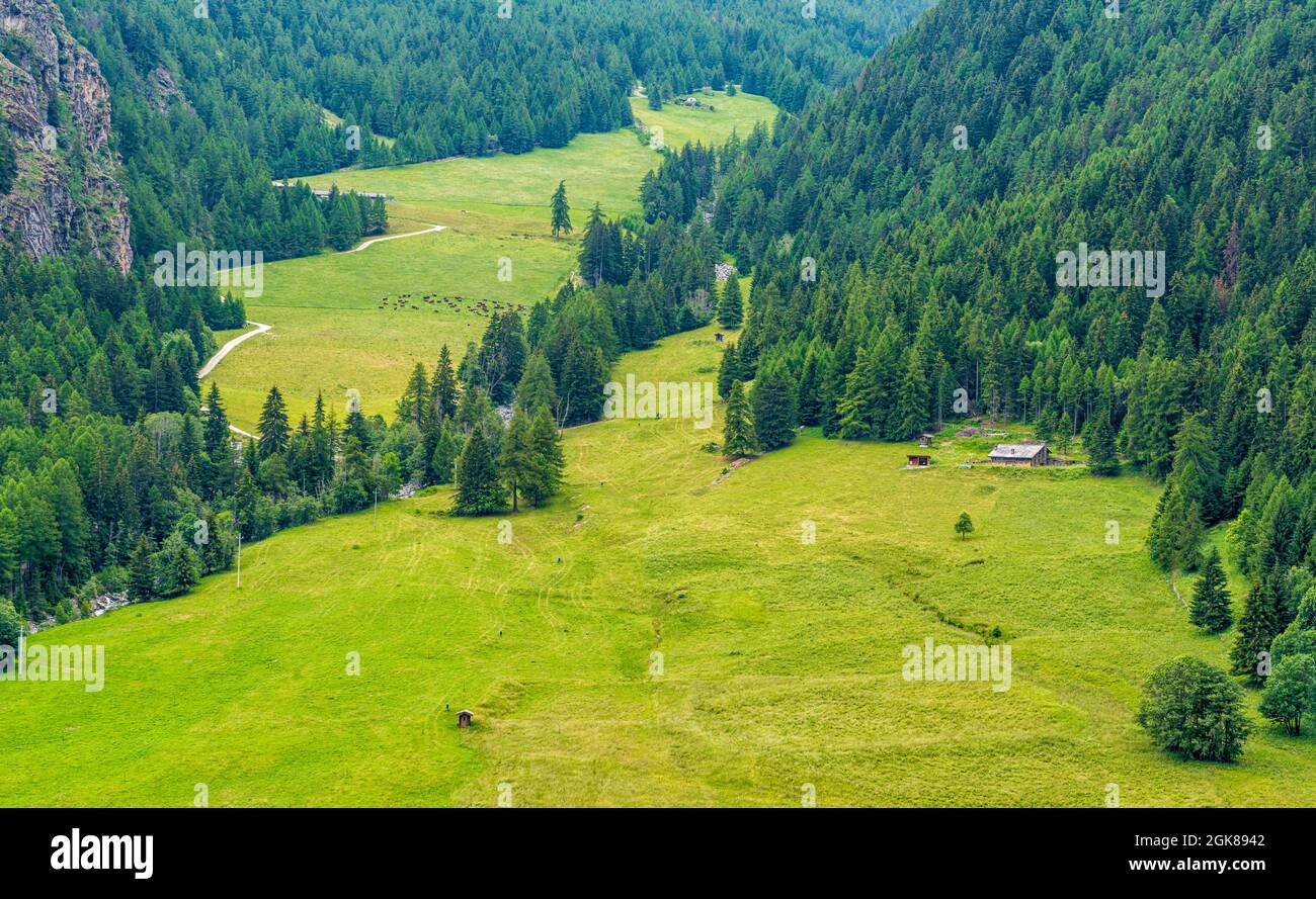 Idyllische Landschaft im Grossen St. Bernhard-Tal. Aostatal, Norditalien. Stockfoto