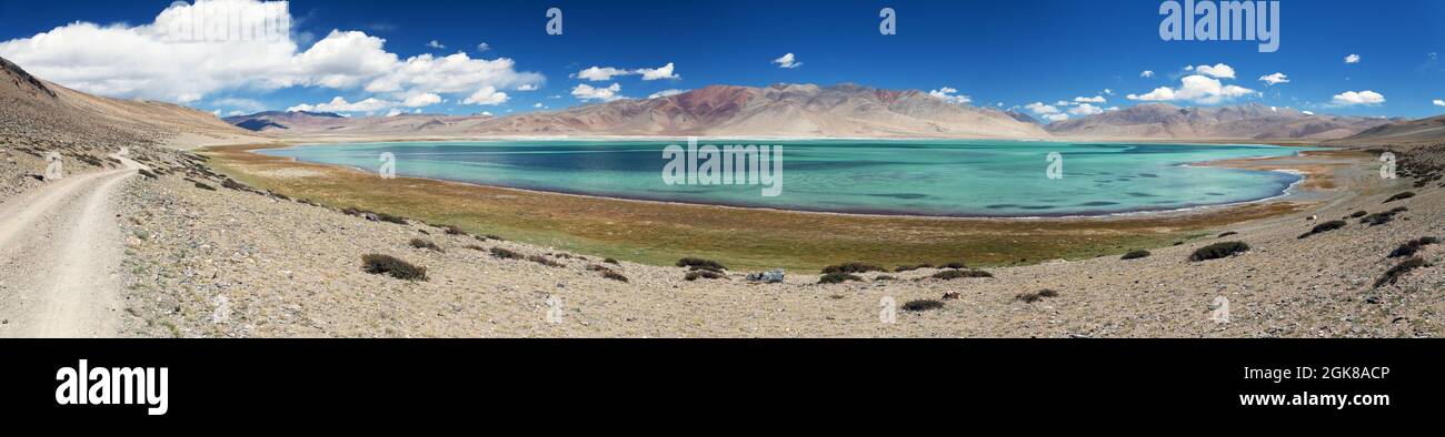 Panoramablick auf den See Tso Kar - Ruppshu Tal - Ladakh - Jammu und Kaschmir Indien Stockfoto