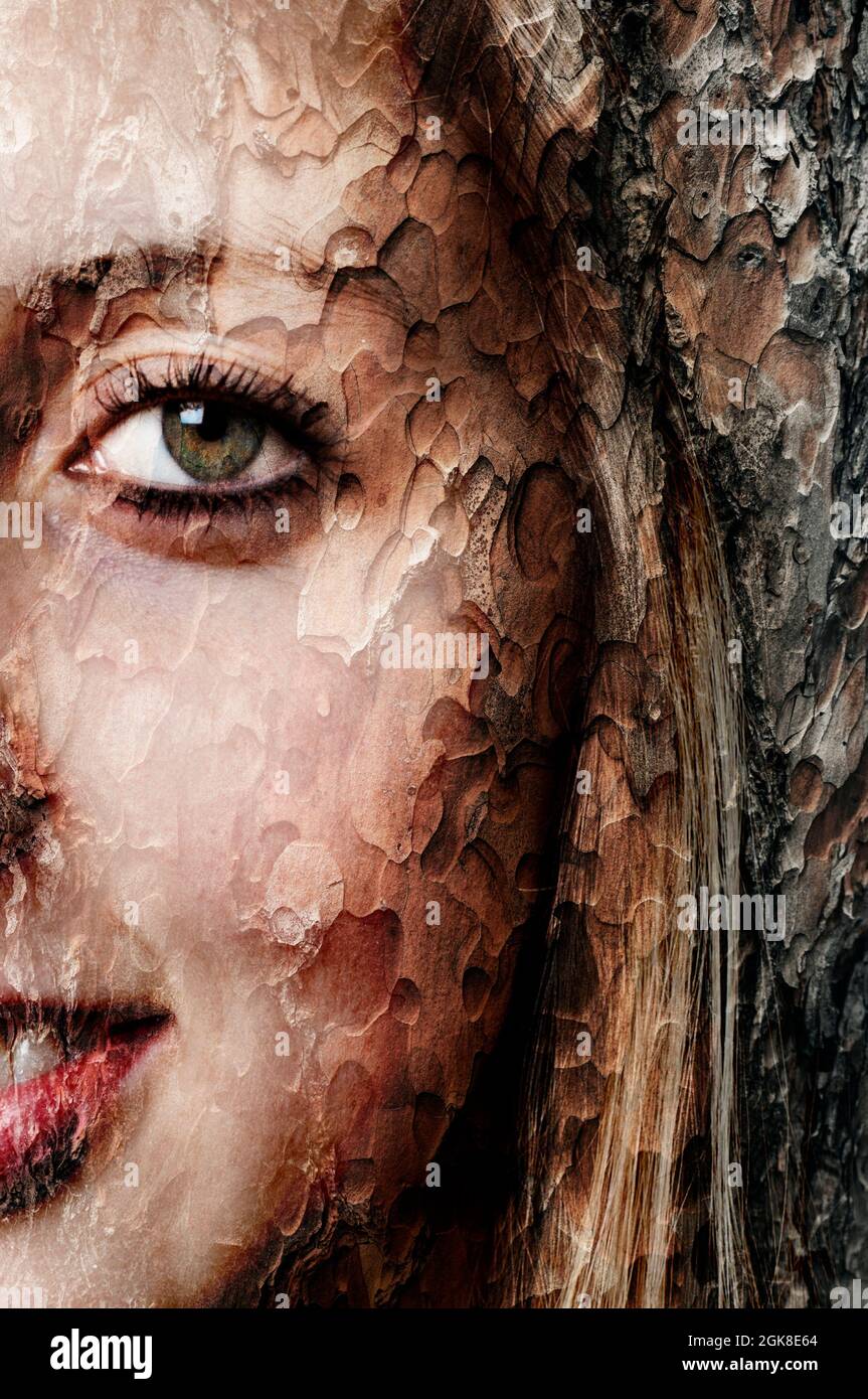 Kreatives Porträt einer blonden jungen Frau, zusammengesetzt aus einer Baumrinde Stockfoto