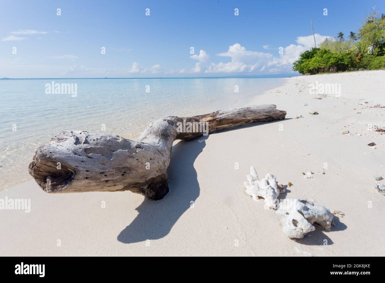 Treibholz an weißen Sandstränden, das an sonnigen Tagen in Malaysia vom klaren, transparenten Meer gewaschen wird Stockfoto