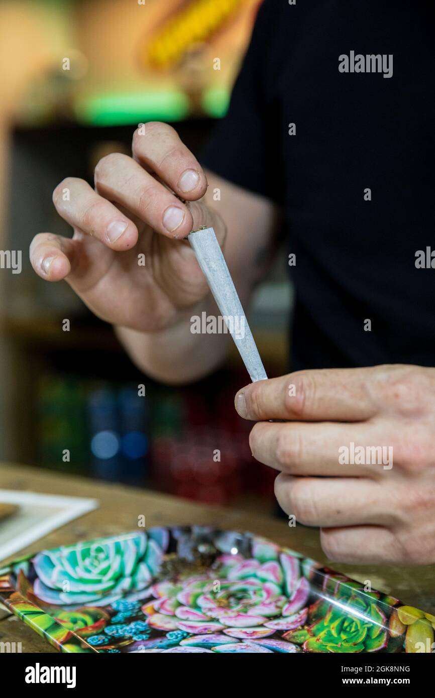 Crop unkenntlich männlichen Rollen Papier Spliff mit trockenem Boden Hanf über Tablett mit floralen Ornament im Arbeitsbereich Stockfoto