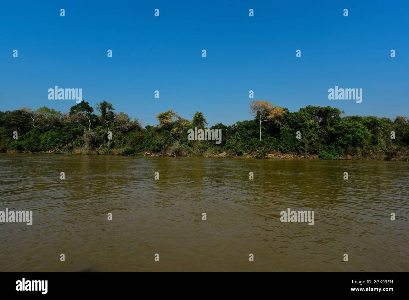 Flusslandschaft Cuiabá, Pantanal-Wald , Mato grosso, Brasilien Stockfoto