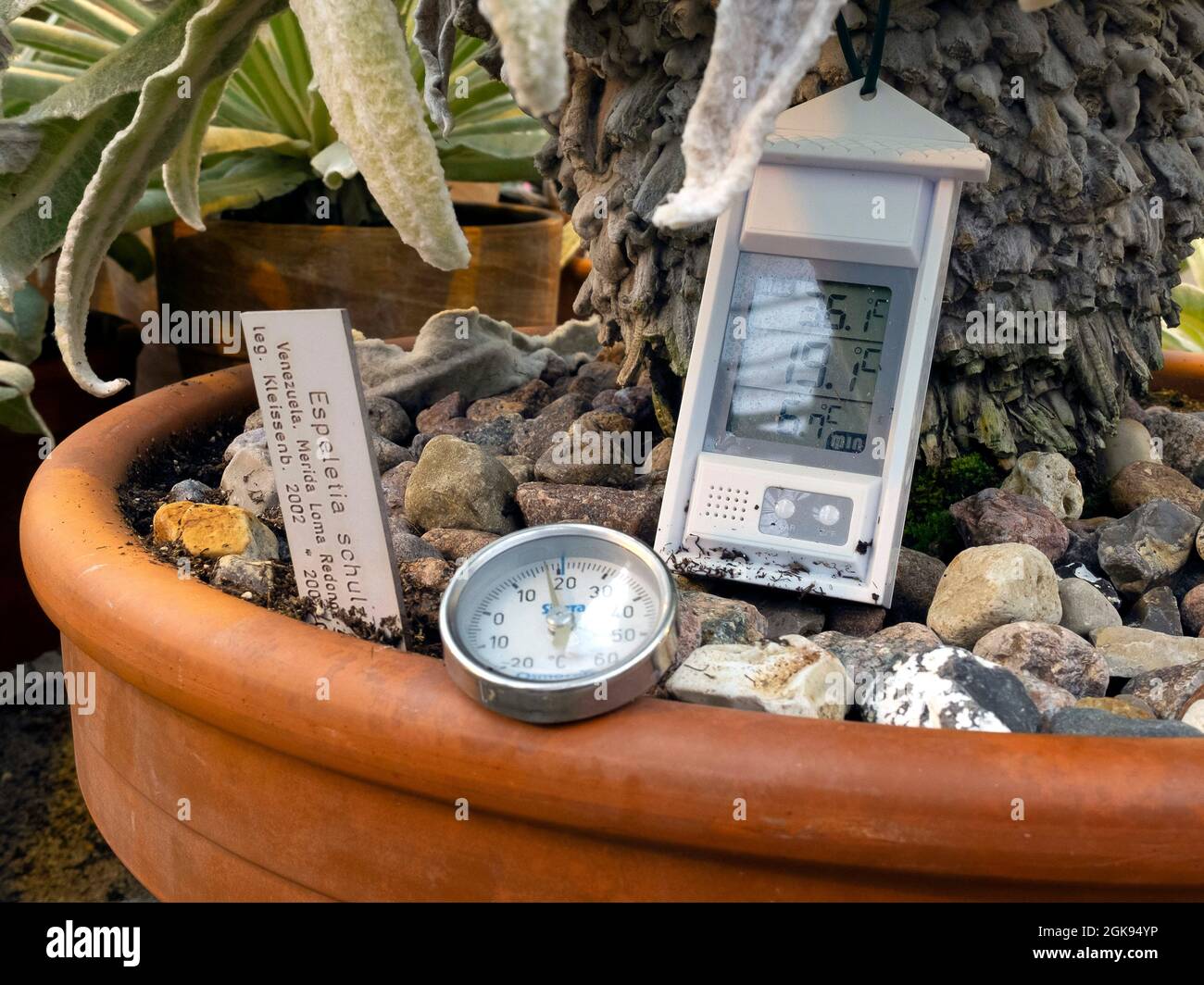 Gewächshaus im Botanischen Garten Flottbek, Messgeräte, Deutschland, Hamburg-Flottbek Stockfoto
