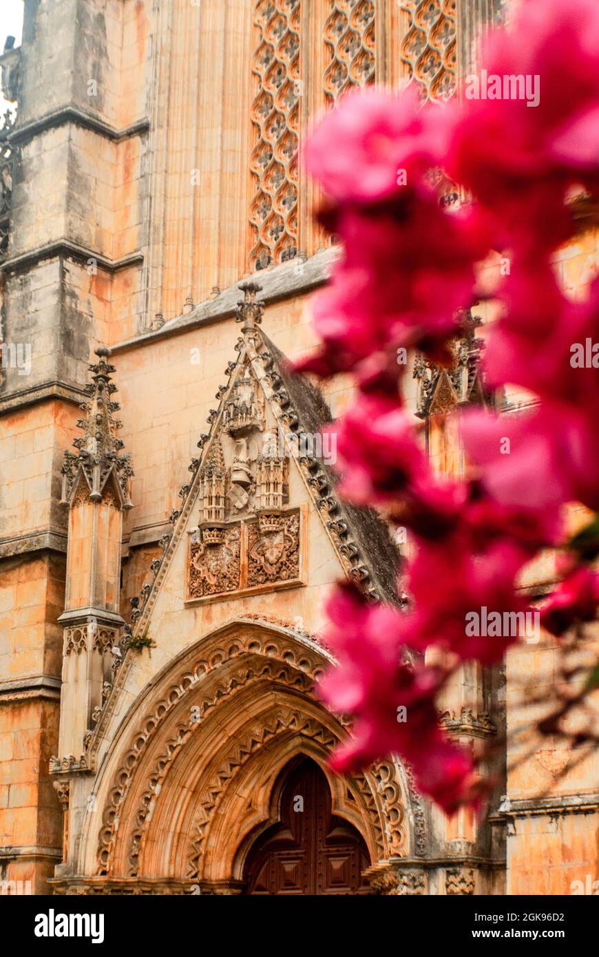 Portal Eingang des Klosters von Batalha in rosa Oleander Blumen im Vordergrund - Nerium Oleander, Batalha, Portugal, Vertikal, selektiver Fokus Stockfoto