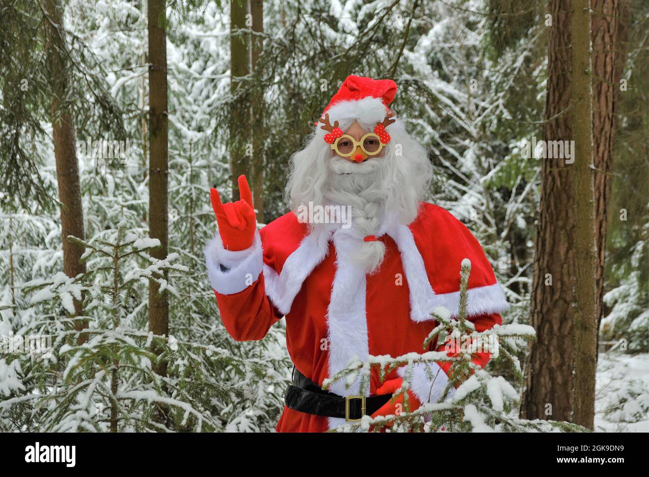 Frohe Weihnachten. Weihnachtsmann in Brille in einem verschneiten Winterwald. Weihnachten und Neujahr Stockfoto