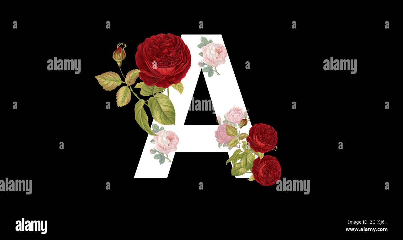 Schöne Blumenbuchstabe eine Illustration isoliert auf schwarzem Hintergrund, floral gestaltete alphabetische Buchstabe A, Blumenmuster florale Schrift A, schwarz Stockfoto