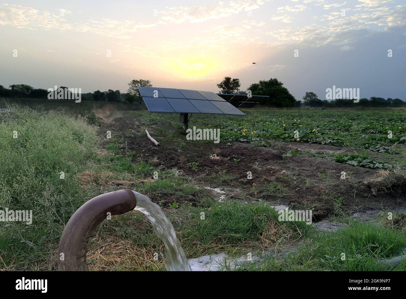 Landwirtschaftliche Ausrüstung für die Feldbewässerung, Wasserstrahl, hinter dem Solarpaneele ist, technische Bewässerung, Sonnenaufgang, Stockfoto