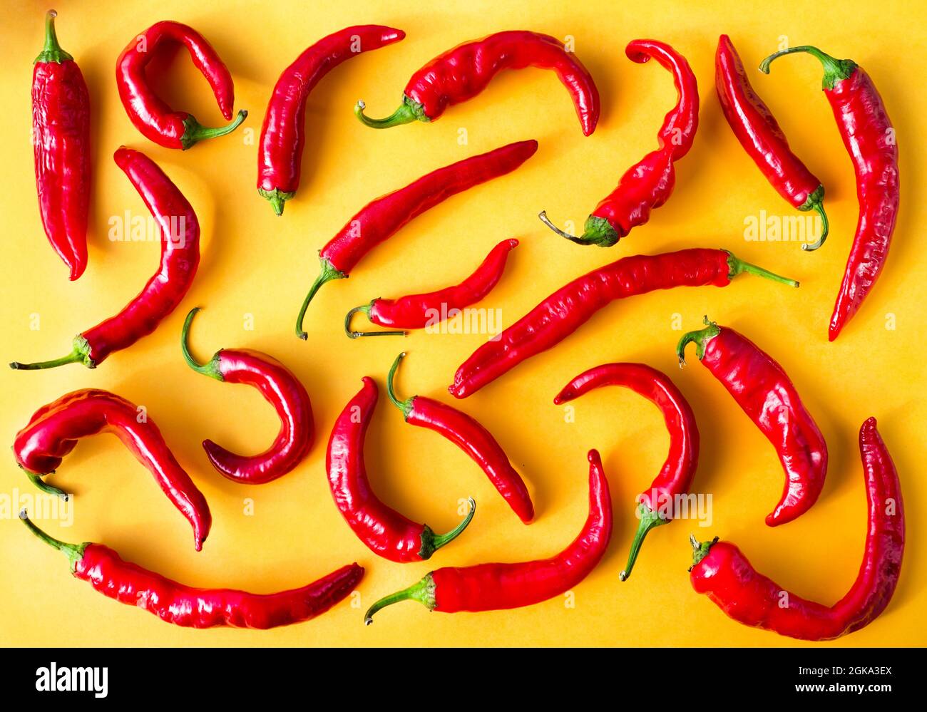 Rote Paprika auf gelbem Hintergrund. Hintergrundbild. Hintergründe. Menü. Stockfoto