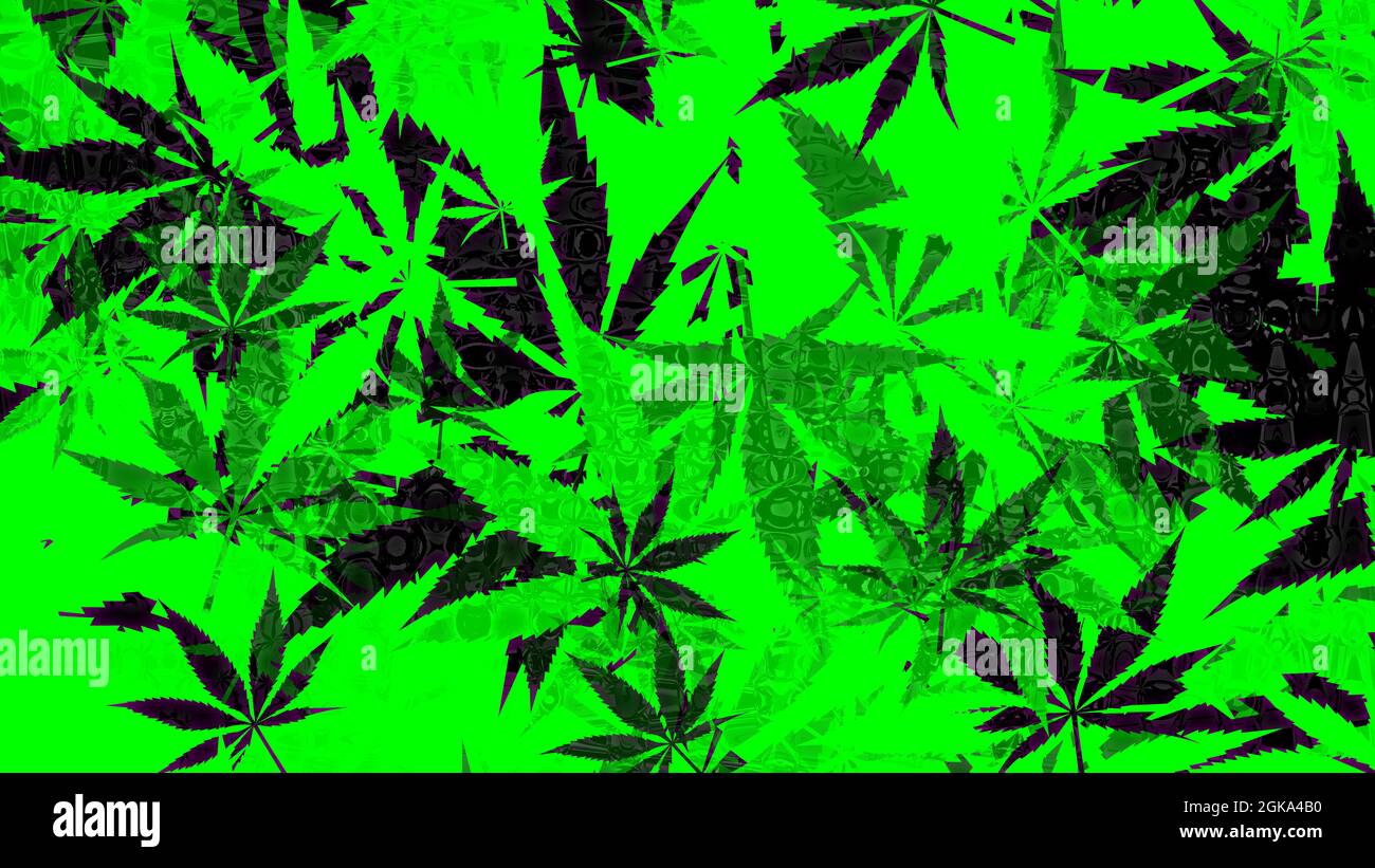 Ein abstraktes Hintergrundbild mit Cannabisblatt-Muster. Stockfoto