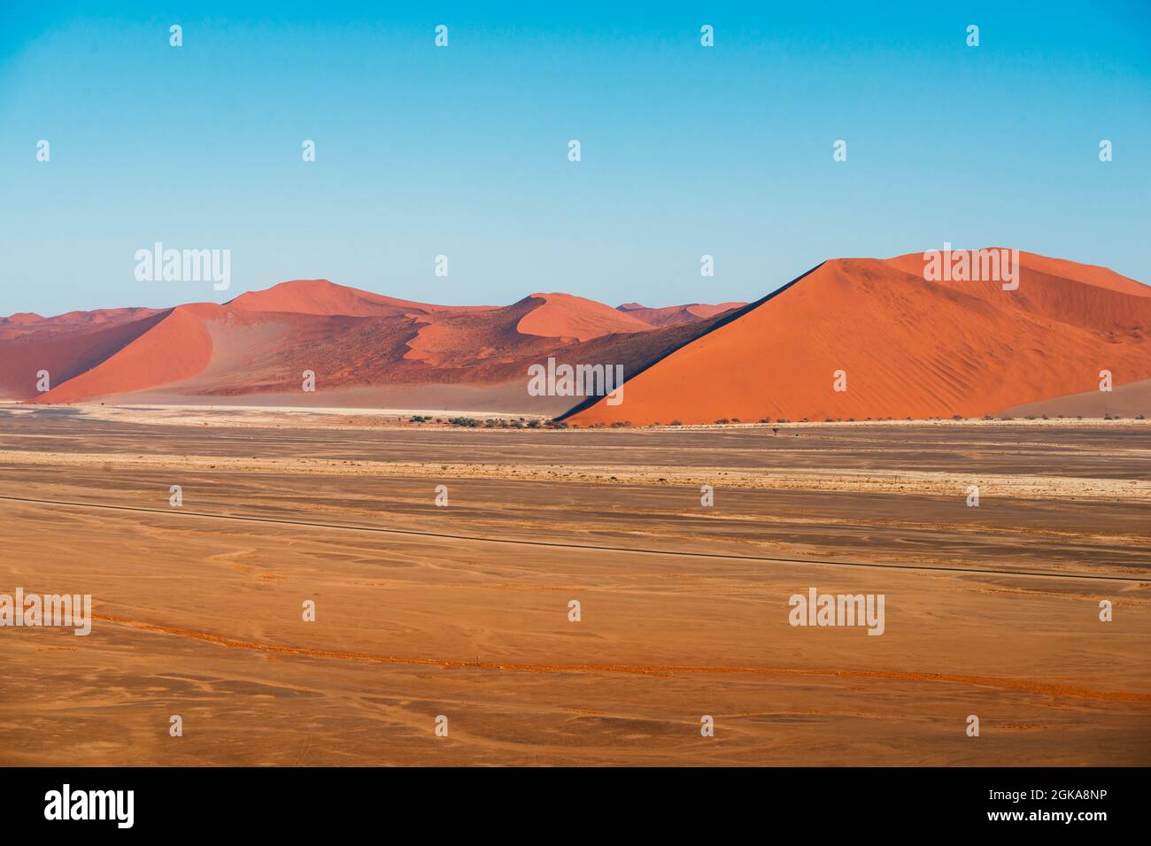 Rotes Sanddünen-Tal am sonnigen Morgen in Sossusvlei, Namibia Stockfoto