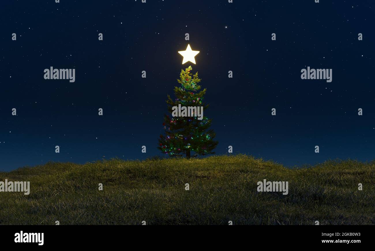 Weihnachtsbaum auf einer grünen Wiese in der sternenklaren Nacht mit einem leuchtenden Stern auf der Oberseite. 3d-Rendering Stockfoto