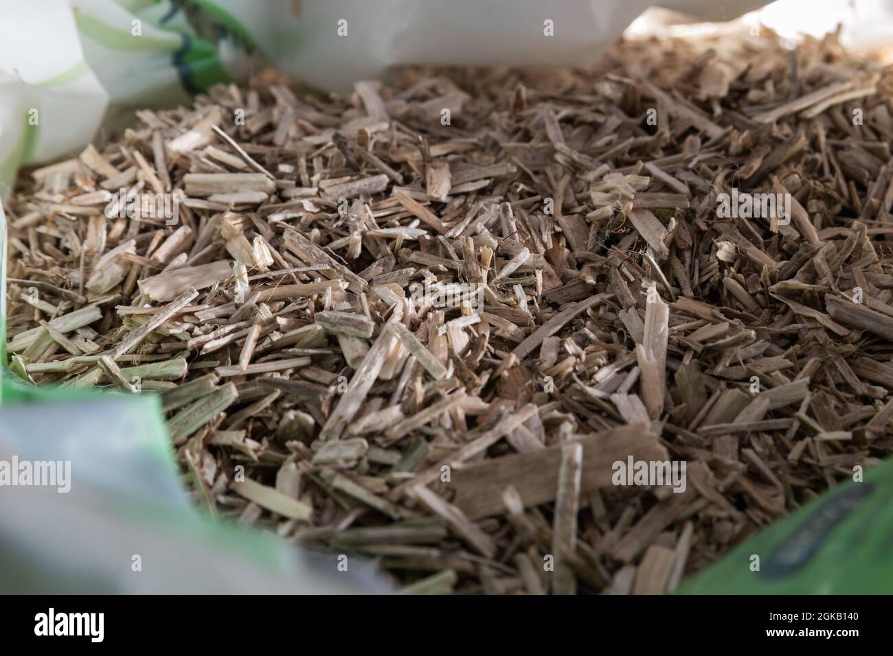 Hanfpflanzenbett für Nagetiere Stockfoto