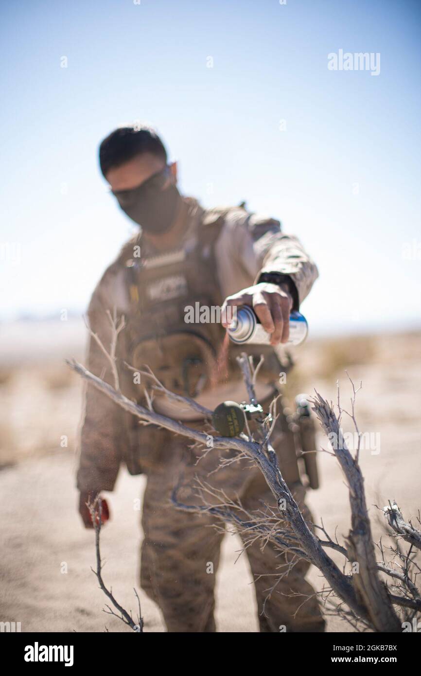 US Marine Corps Staff Sgt. Austin McHenry, ein Sprengstofftechniker beim Combat Logistics Battalion 11, 11th Marine Expeditionary Unit, sprüht während der realistischen städtischen Trainingsübung auf dem Marine Corps Air Combat Center Twentynine Palms, Kalifornien, 1. März 2021 ein Ziel vor einem Störbereich der Oberflächenmunition. RUT ist die letzte Übung zur vor-Einsatz-Schulung an Land für das 11. MEU und bietet die Möglichkeit, Operationen als Marine Air-Ground Task Force in städtischen Umgebungen zu planen und durchzuführen. Stockfoto