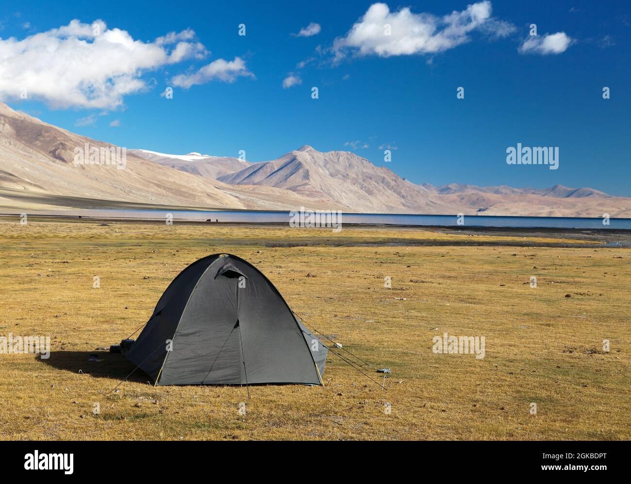 Zelt im Himalaya-Gebirge - in der Nähe des Tso Moriri-Sees im Ruppshu-Tal - Ladakh - Indien Stockfoto