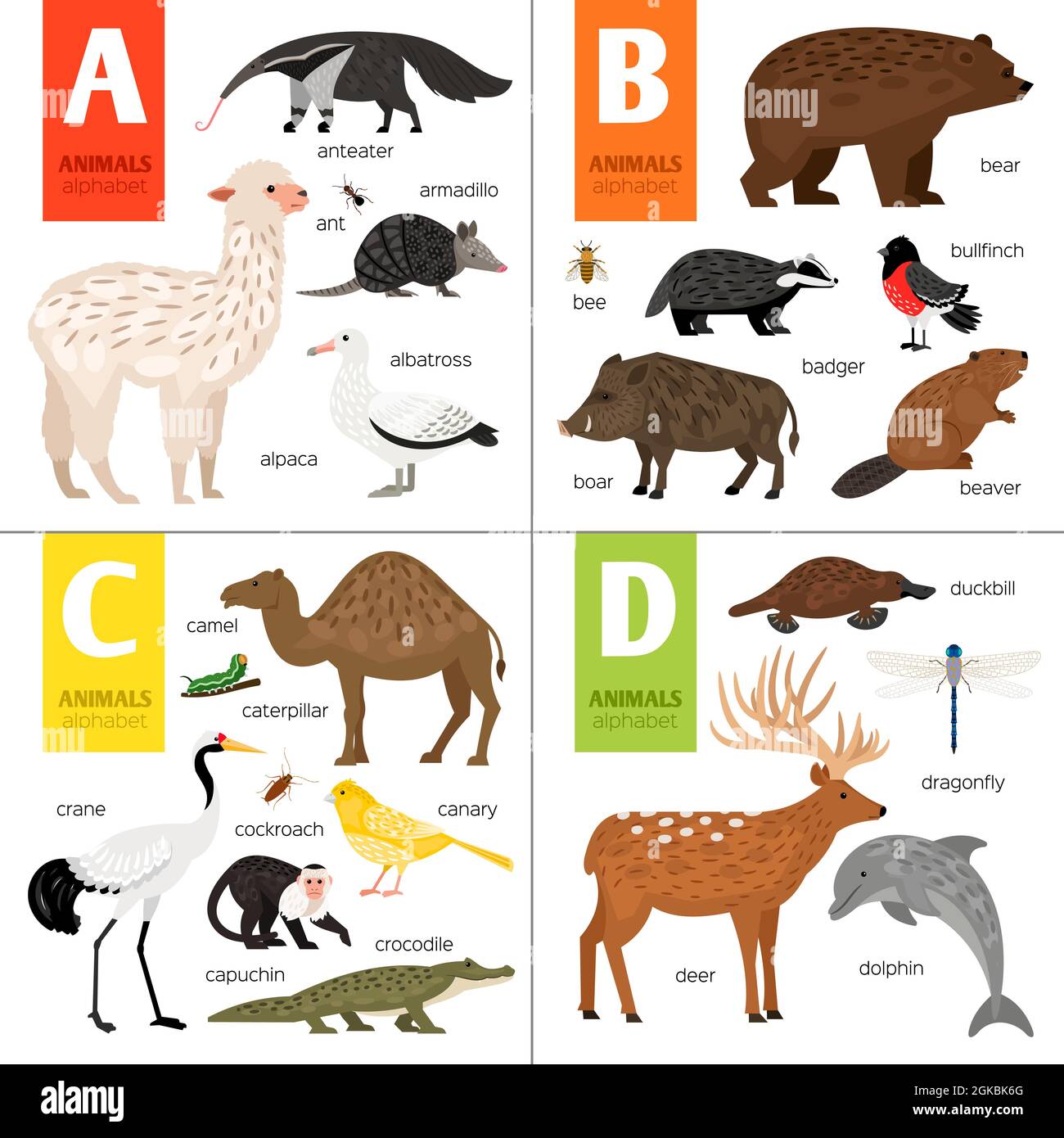 Alphabet-Design mit niedlichen Tieren Stock Vektor