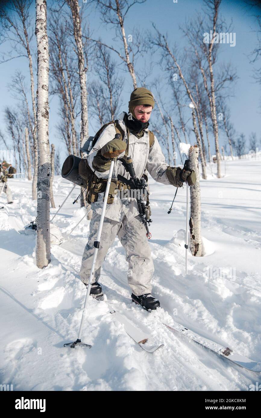 Eine US-Marine mit Marine Rotational Force Europe 21.1 (MRF-E), die Marine Forces Europe und Africa, durchquert während einer Force-on-Force-Übung in Blatind, Norwegen, am 10. März 2021 Langlaufskier durch Wintergelände. Die Unternehmen führten Force-on-Force-Trainings auf Zugebene durch, bei denen die Fähigkeiten bei kaltem Wetter genutzt wurden, um die technischen und taktischen Fähigkeiten in einer winterlichen Kampfumgebung zu verbessern. MRF-E konzentriert sich auf regionale Engagements in ganz Europa, indem es verschiedene Übungen, Schulungen zur arktischen Kälte- und Bergkriegsführung sowie militärische Engagements durchführt, die die Interoperabilität der USA insgesamt verbessern Stockfoto