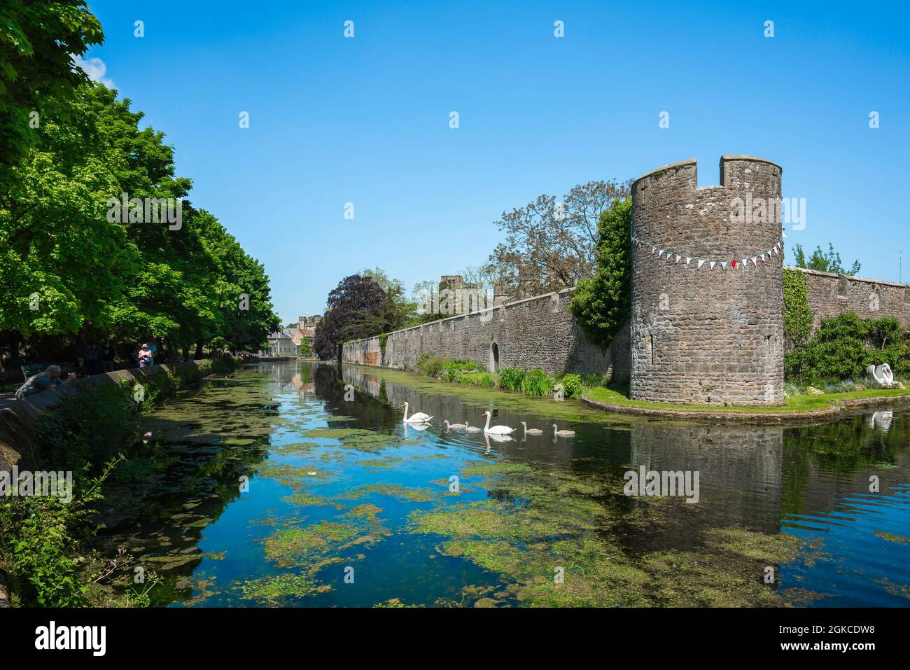 Wells Bishop's Palace, Blick im Sommer auf den Graben an der südwestlichen Ecke des ummauerten Bishop's Palace in Wells, Somerset, England, Großbritannien Stockfoto