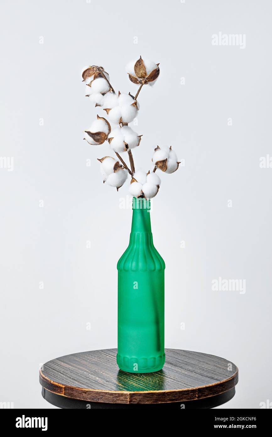Grüne Flasche mit Baumwollzweig für dekorative Ornamente auf industriellem Stil Hocker und weißem Hintergrund Stockfoto