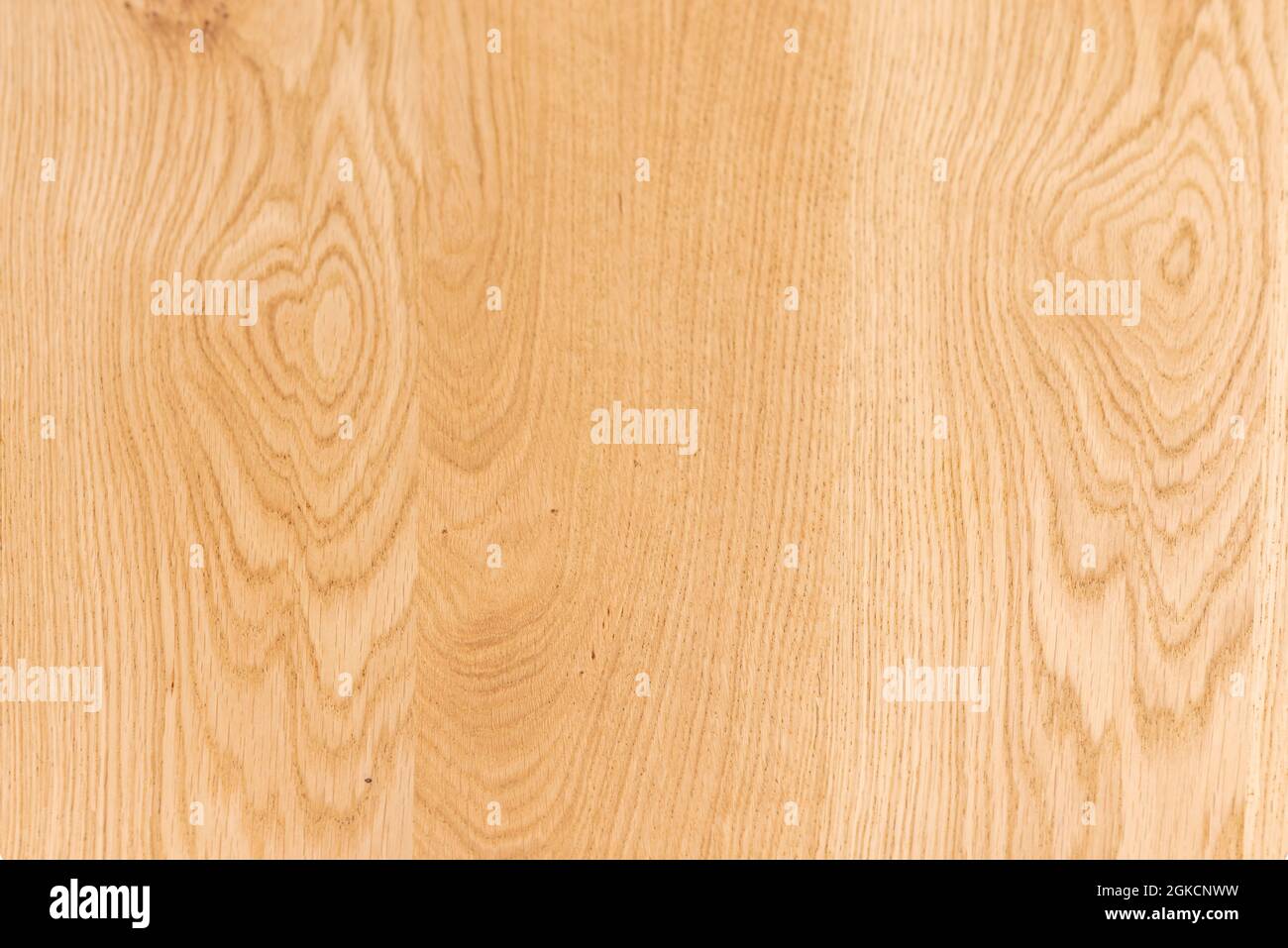 Eichenholz Hintergrund in hellen Tönen lackiert zeigt seine schönen Adern. Leichte Holztextur-Vektoren für den Hintergrund. Stockfoto