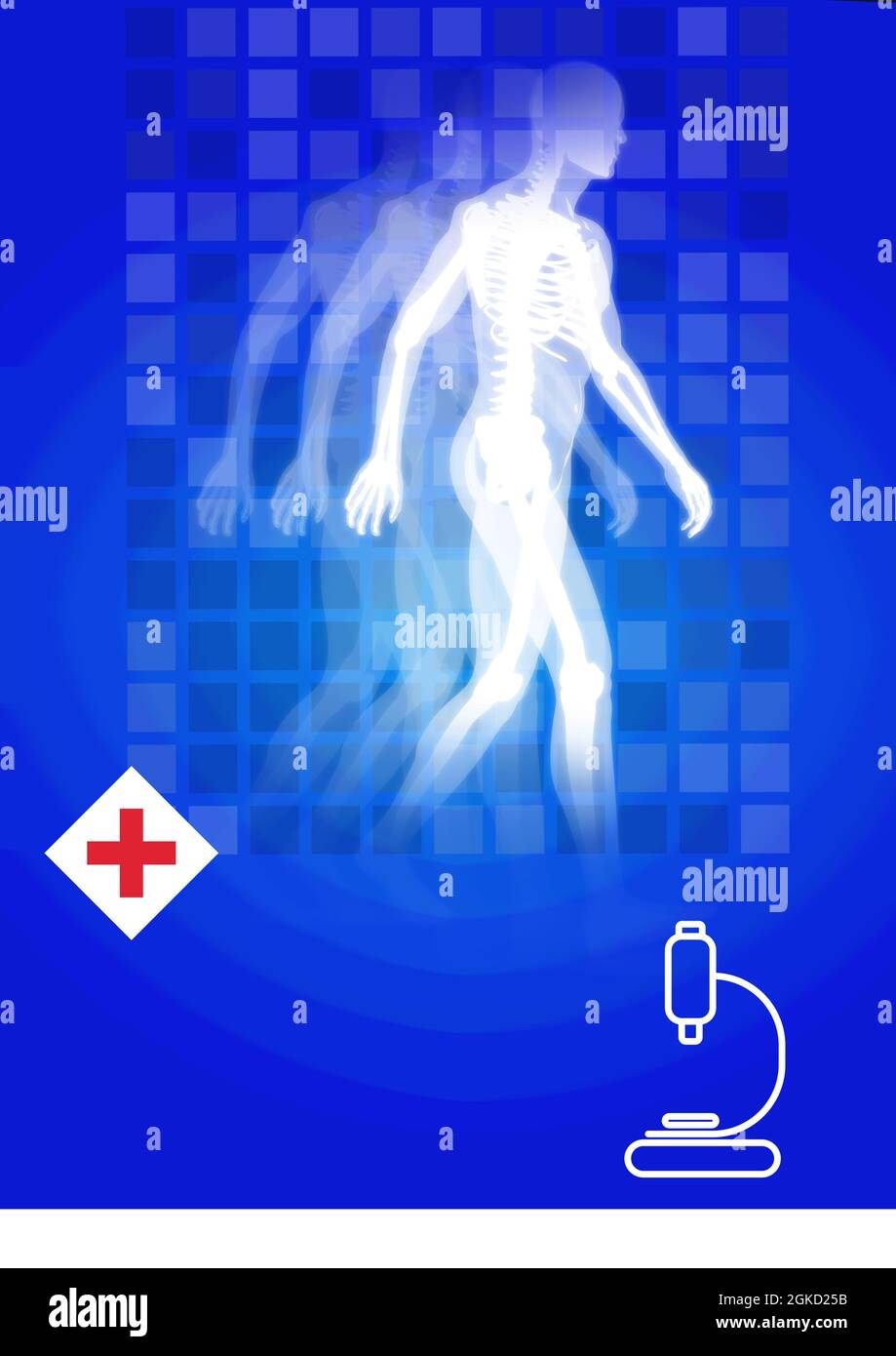 Menschliches Skelett über medizinischem Symbol und Mikroskop-Symbol vor blauem Hintergrund Stockfoto