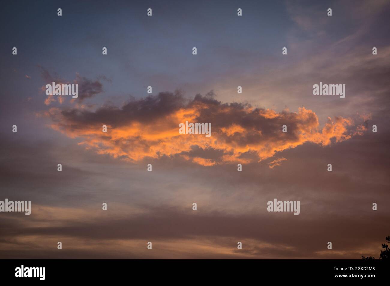 Eine Süße Wolke Stockfoto