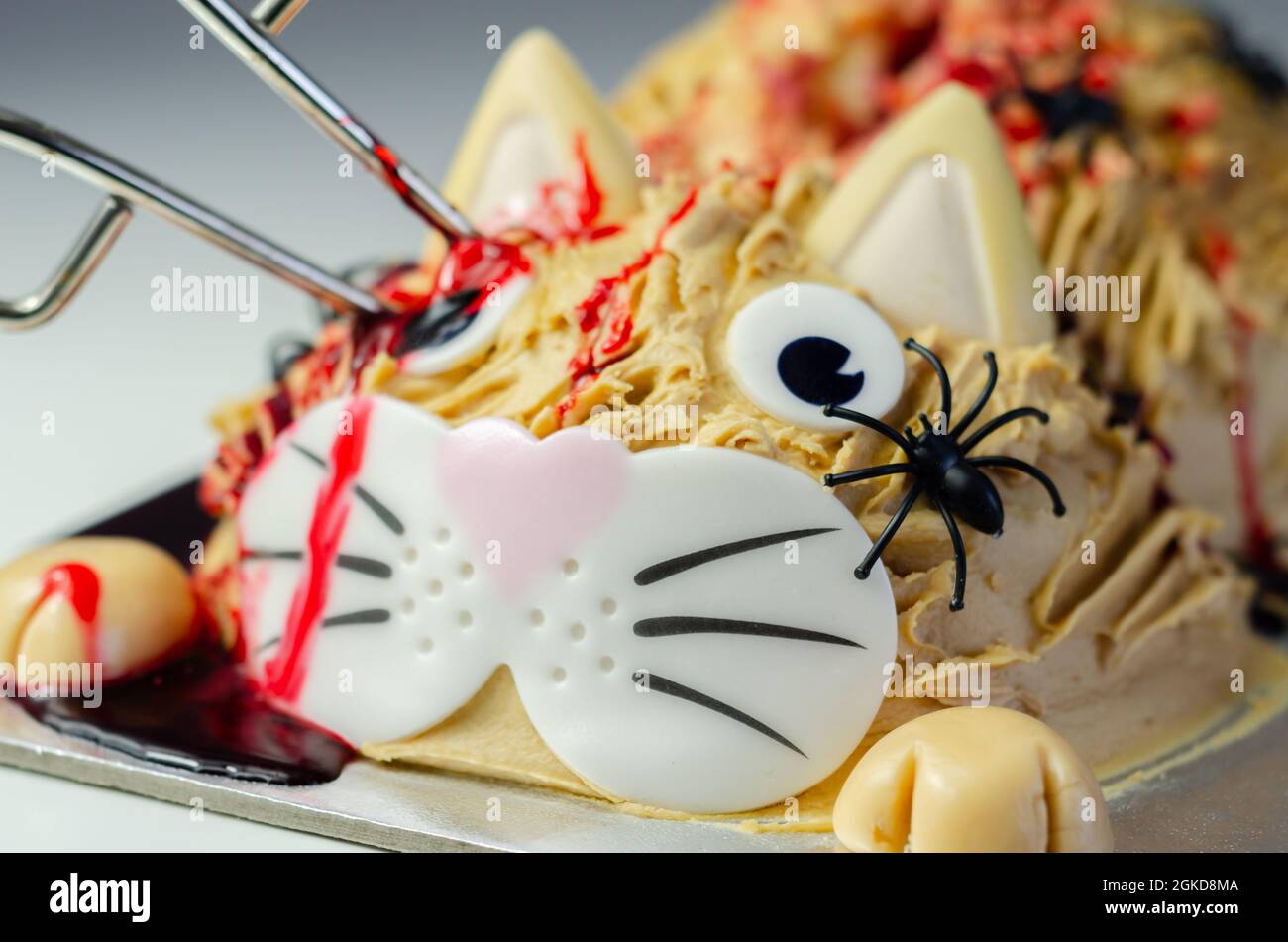Halloween Kuchen Katze, geschichtete Biskuitkuchen in Form eines Kitty für  Halloween-Party dekoriert, gruselig süßen Dessert Stockfotografie - Alamy