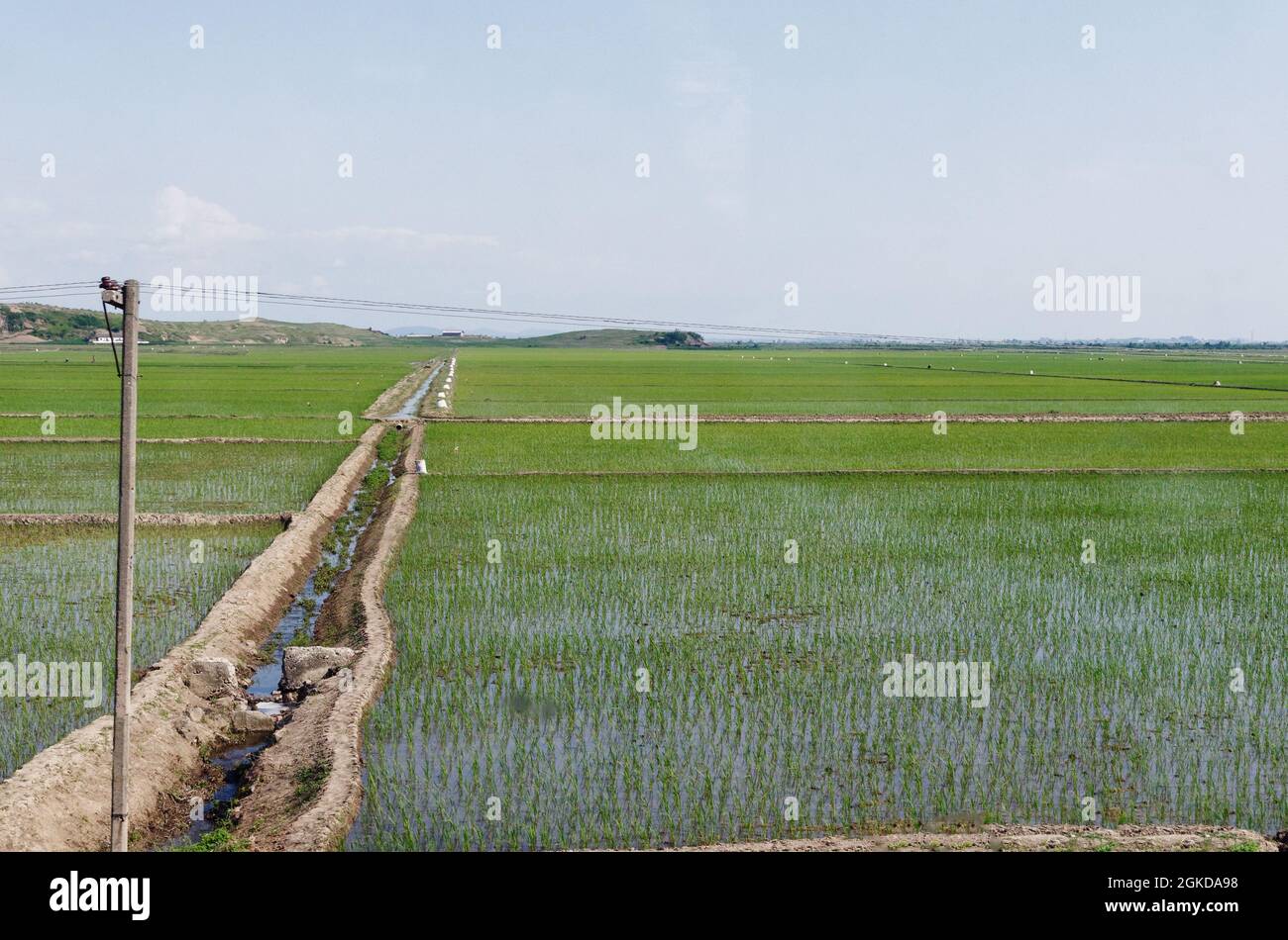 Großer Bewässerungsgraben über einer Ebene von Reisfeldern, Nordkorea Stockfoto