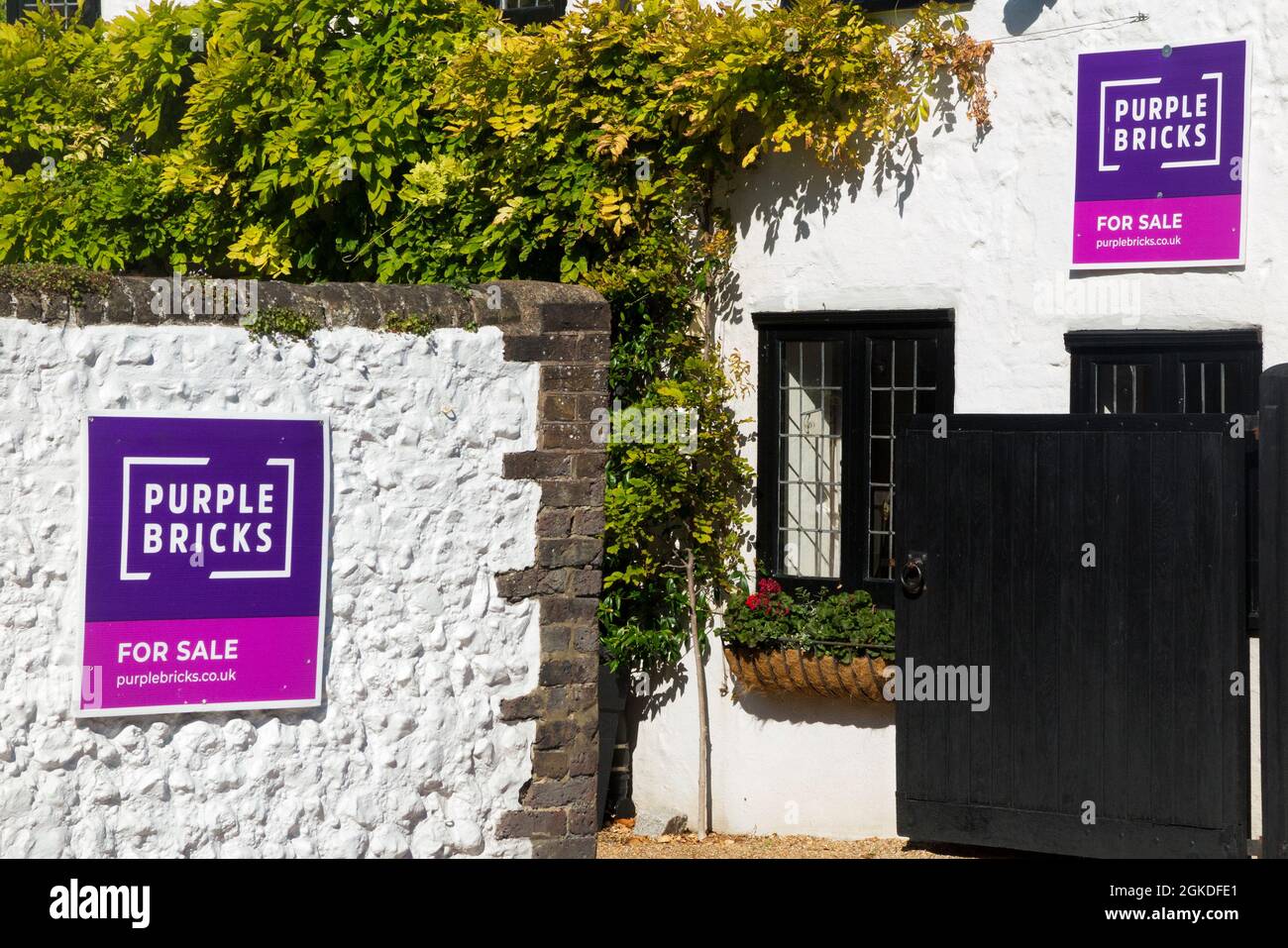 Eine Immobilie / Haus zum Verkauf mit dem Online / Online Immobilienmakler Purple Bricks. An den Wänden des Grundstücks sind zwei Bretter angebracht. VEREINIGTES KÖNIGREICH. (127) Stockfoto