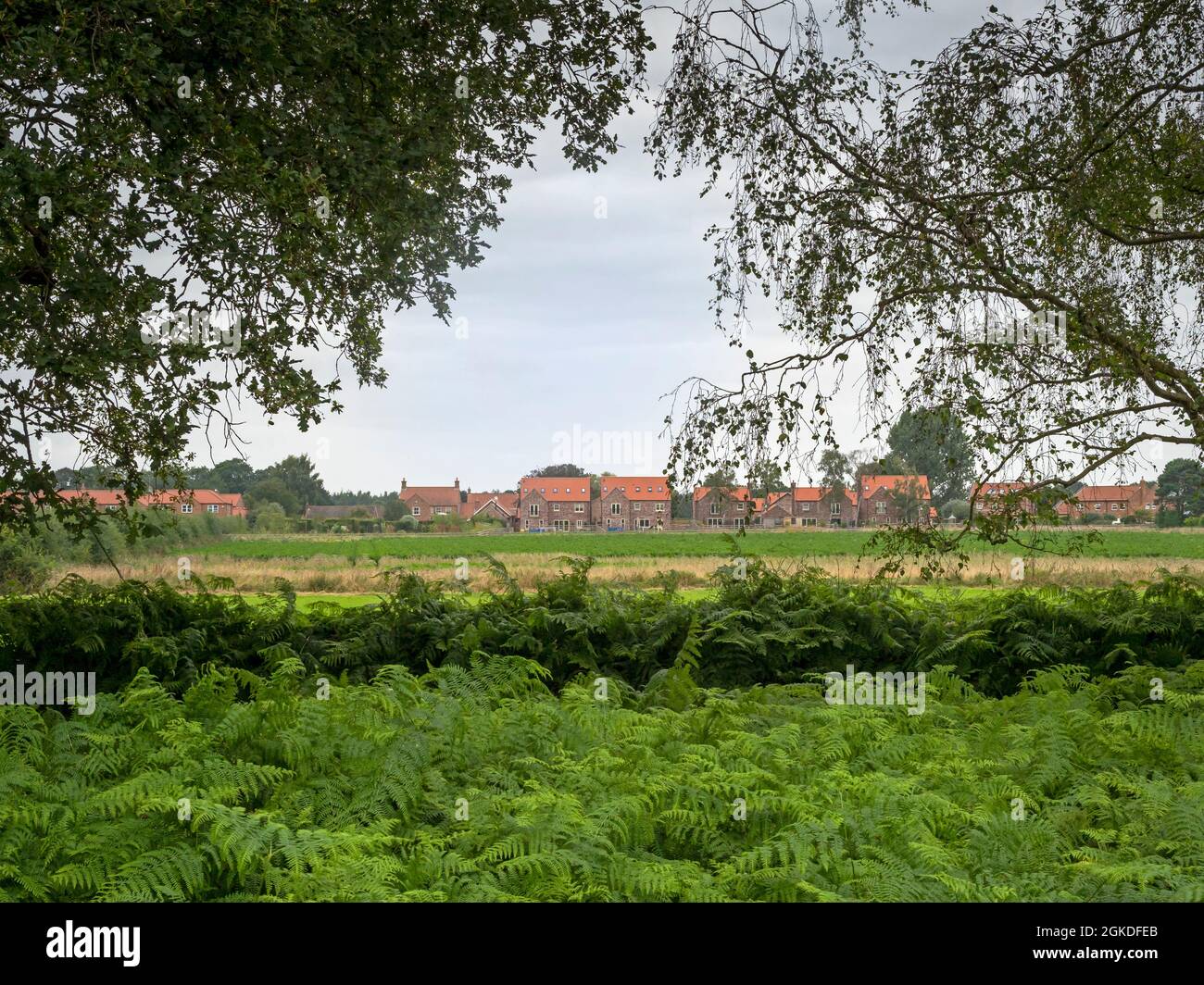 Skipwith Dorf gesehen durch Bäume von Skipwith Common, North Yorkshire, England Stockfoto