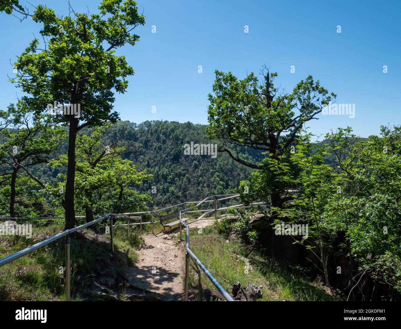 Wandern im Naturpark Harz Stockfoto