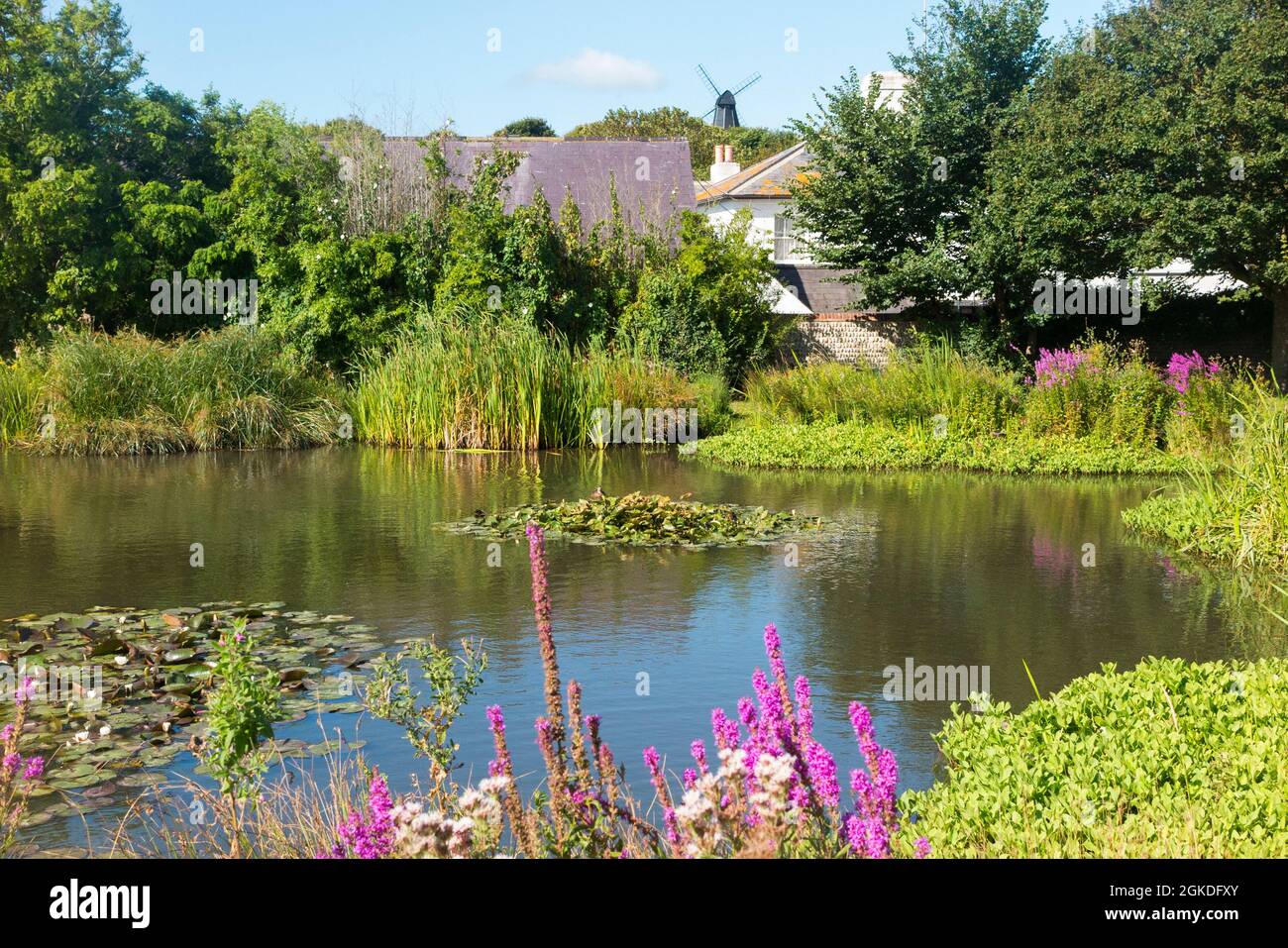 Blick über Rottingdean in Richtung Beacon Mill (New Mill) auf dem Hügel, vom Dorf Green und Teich aus gesehen. Rottingdean, Großbritannien (127) Stockfoto