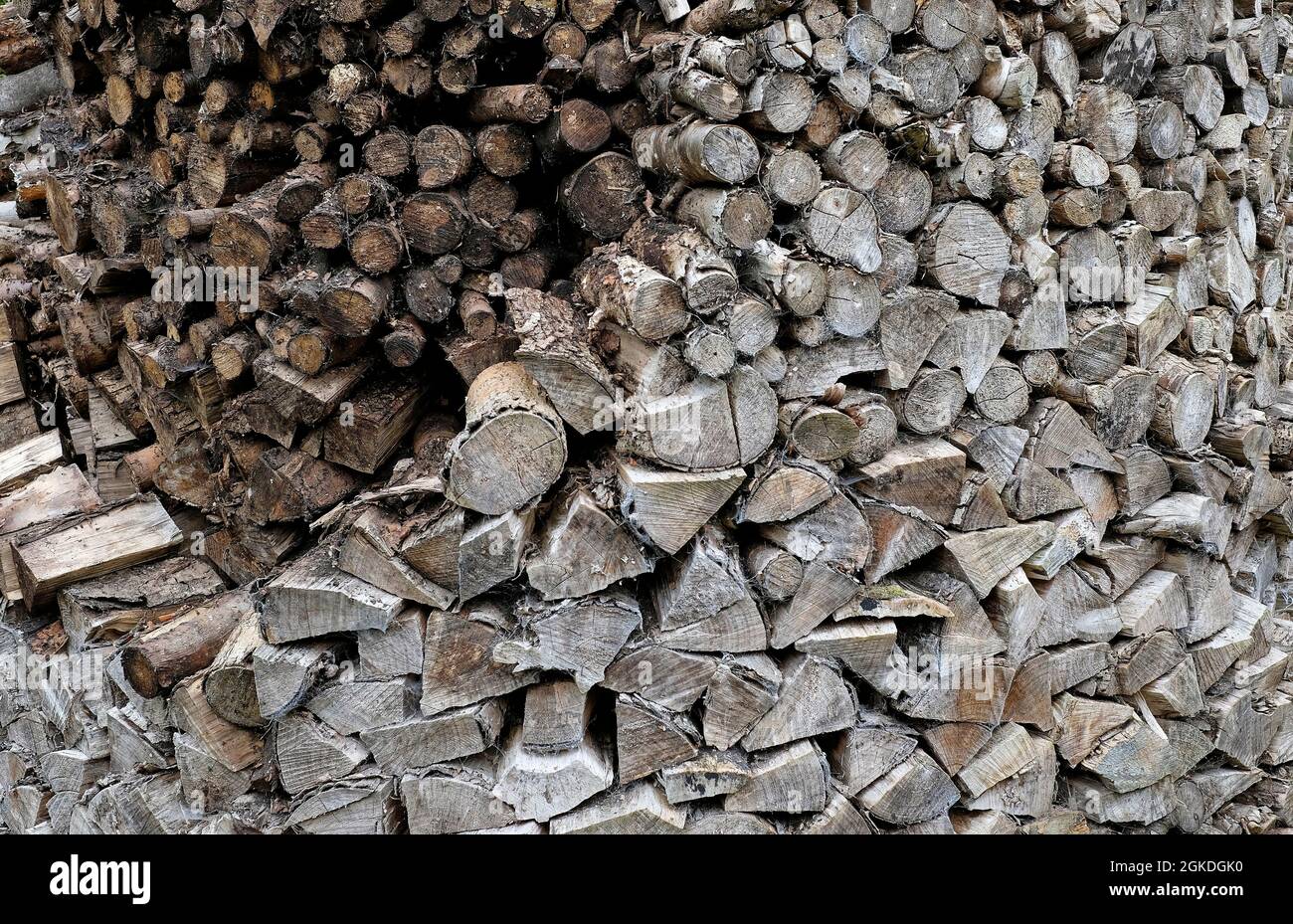 Stapel von ordentlich gestapelten Brennholzstämmen, North yorkshire, england Stockfoto