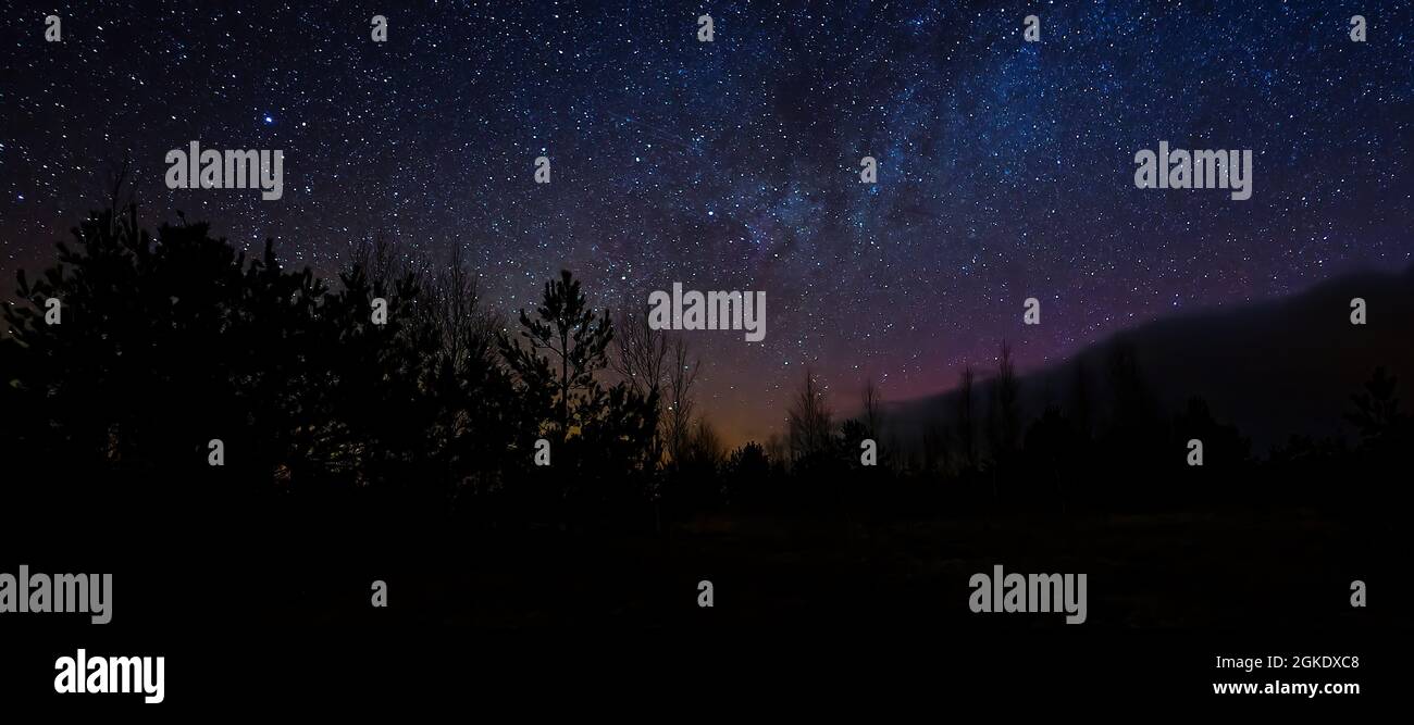 Wunderschöne Farben am Nachthimmel. Bunte Nachthimmel und Bäume. Nachtszene im Moor unter Sternenhimmel Stockfoto