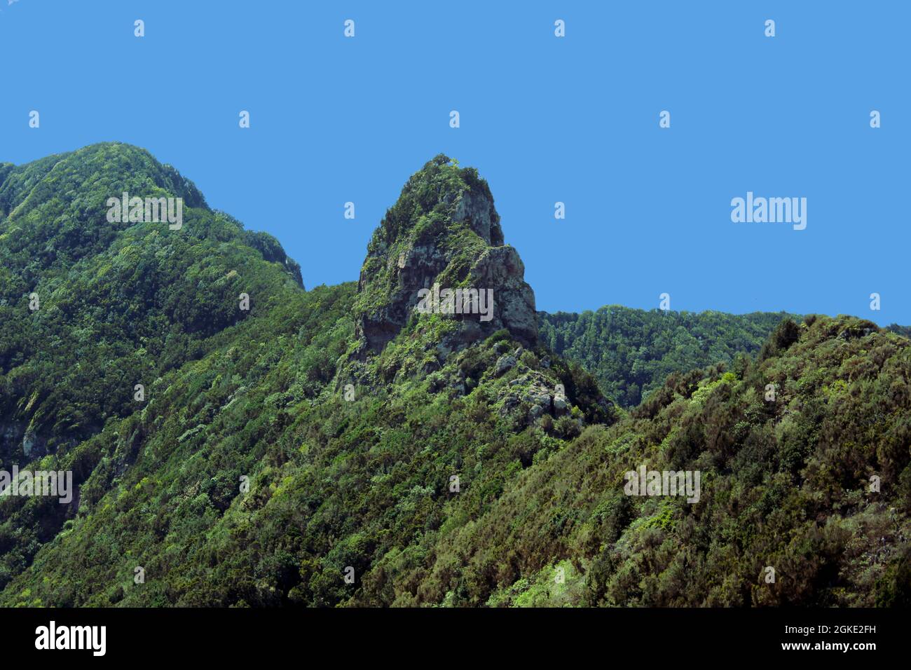 Montañas de Taganana Stockfoto