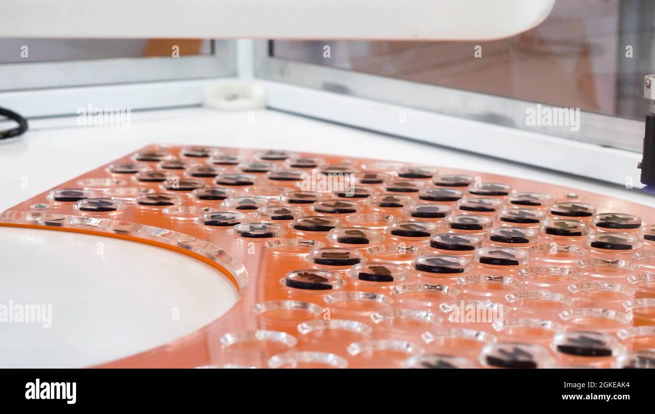 Automatische Maschine für die pharmazeutische Herstellung, COVID 19 Coronavirus-Impfstoffproduktionstechnik. HDR. Neue Technologien in der pharmazeutischen Medizinindustrie Stockfoto