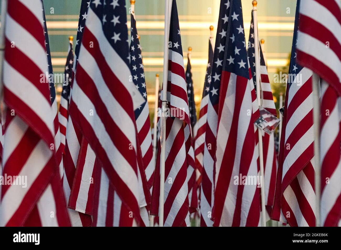 Das Heilungsfeld in Tempe, Arizona, erinnert an die Angriffe von 9-11, indem für jede Person, die an diesem Tag umkam, eine amerikanische Flagge gezeigt wird. Stockfoto