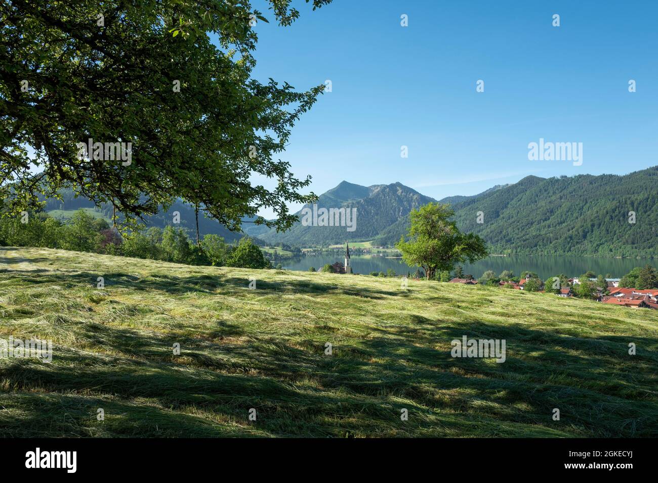 Rasenmäher, Risseckstrasse, Schliersee, Bayern, Deutschland Stockfoto