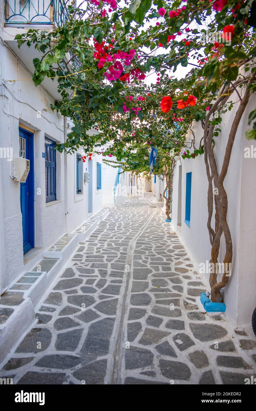 Allee mit kykladischen Häusern, Altstadt von Parikia, Paros, Kykladen, Griechenland Stockfoto