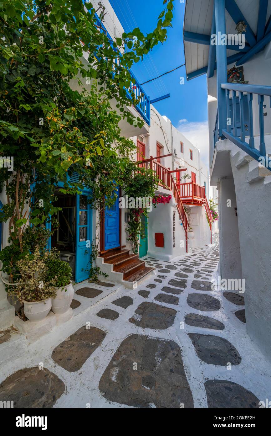Weiße kykladische Häuser mit blauen Fensterläden, Altstadt Chora, Mykonos-Stadt, Mykonos, Kykladen, Griechenland Stockfoto
