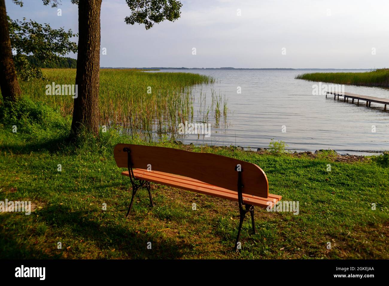 Dargin-See, Masurische Seenplatte, Warminsko-Mazurskie, Warminsko-Mazurskie, Polen Stockfoto