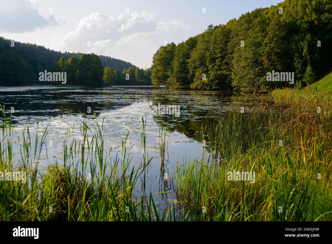See in der Nähe von Suwalki Rutka, Landschaftspark, Podlachien, Polen Stockfoto