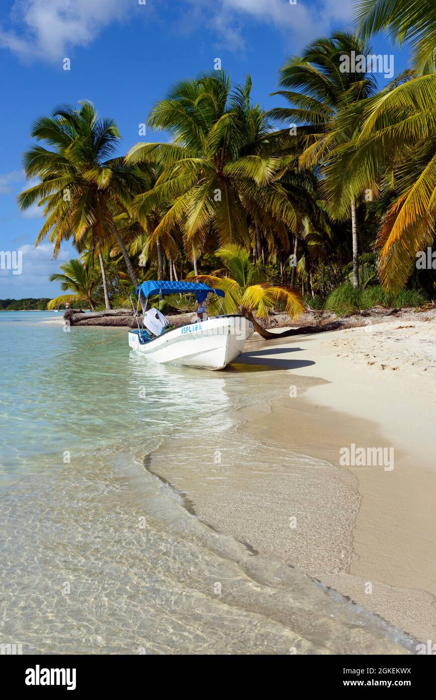 Palm Beach, Parque Nacional del Este, Dominikanische Republik Stockfoto