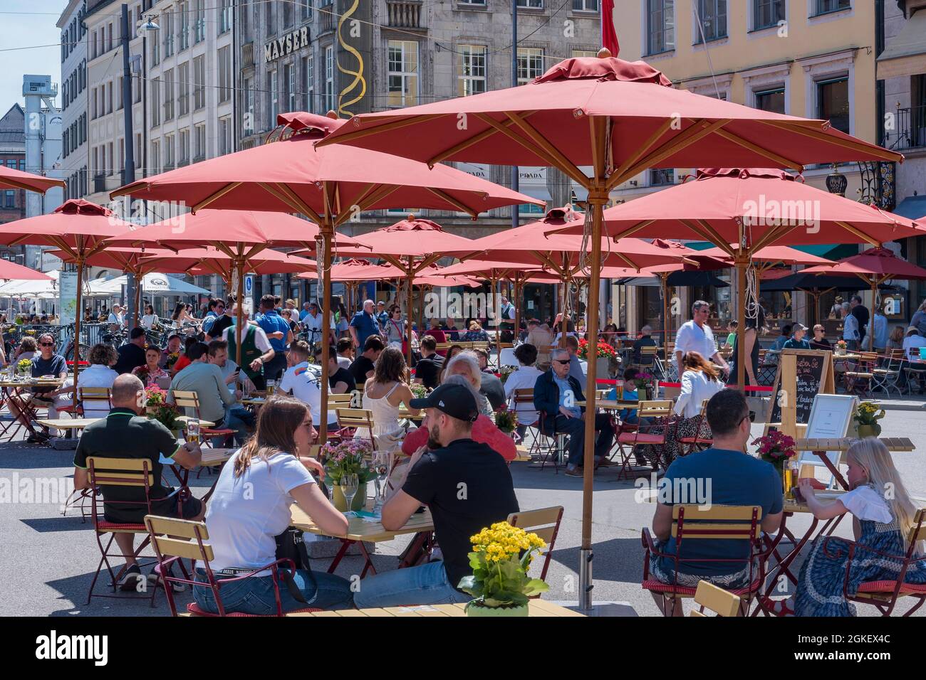 Gastfreundschaft unter Sonnenschirmen im Spatenhaus, Max-Joseph-Platz, München, Oberbayern, Bayern, Deutschland Stockfoto