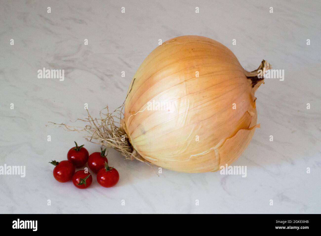 Eine Zwiebel und einige Tomaten auf einer Marmortheke. Die Zwiebel ist fünfzigmal so groß wie die Tomaten. Stockfoto