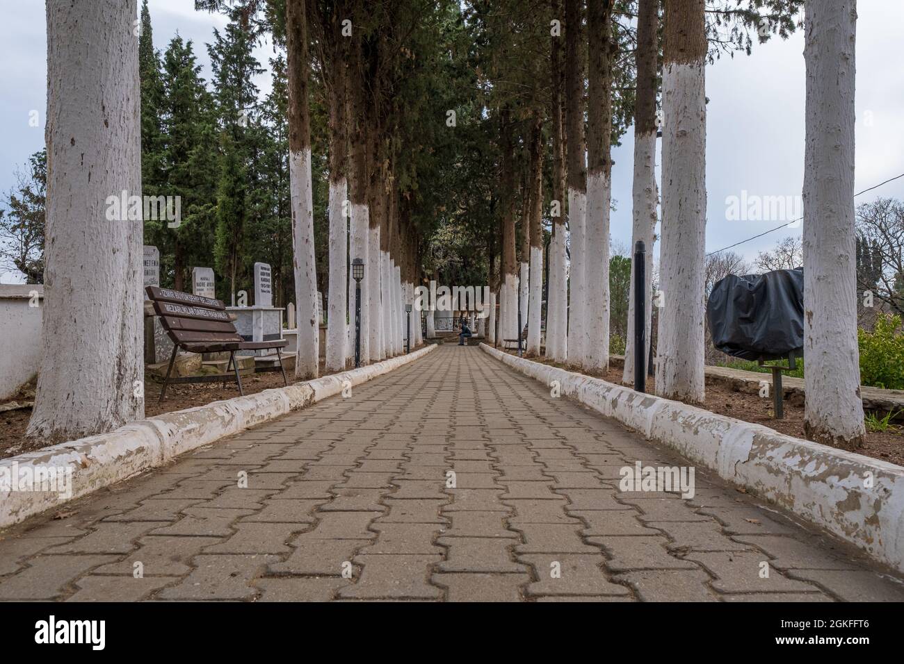 Birgi, Izmir, Türkei - 03.09.2021: Niedrige Ansicht der Friedhofsstraße in Birgi Stadt und der Bäume auf beiden Seiten Stockfoto