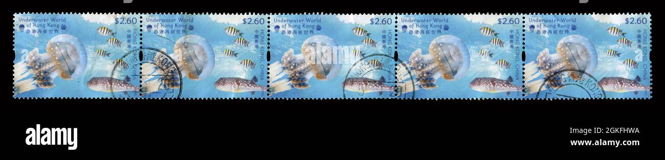 5 STÜCK SET Stempel gedruckt in HONG KONG, China zeigt Bild der Unterwasserwelt von Hong Kong, um 2019. Stockfoto