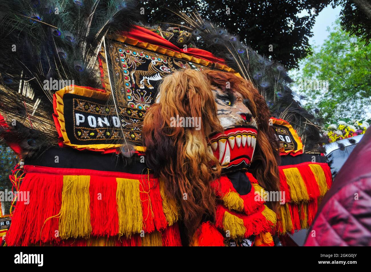 Barongan- oder Reog-Maske in Form eines Tigers, verziert mit Pfauenfedern, wenn sie am Karneval teilnehmen. Stockfoto