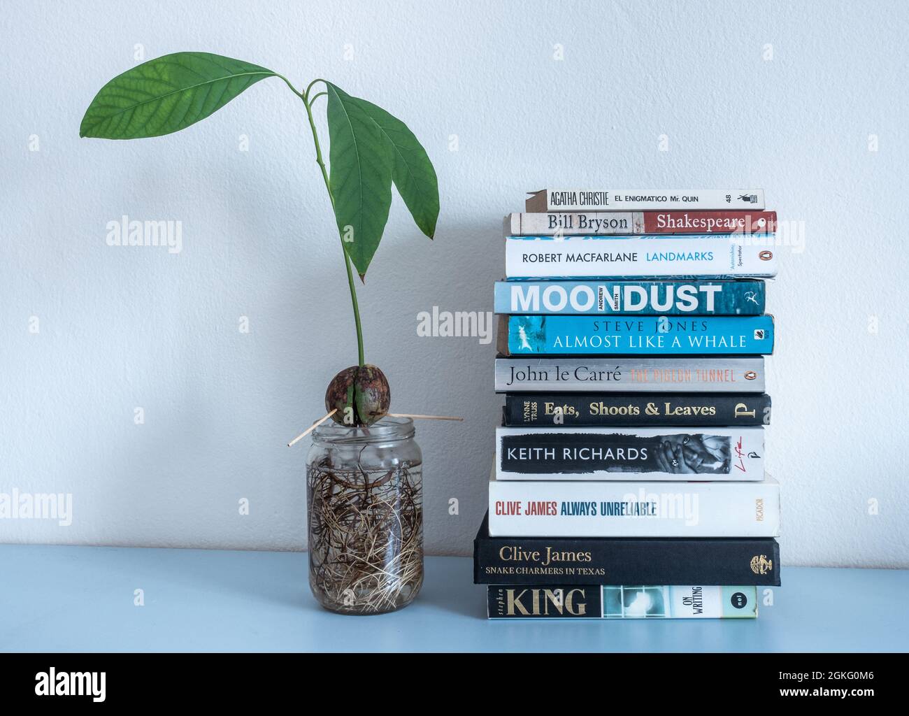 Stapel von Büchern im Regal, wobei die Avocado-Pflanze im Wasser wächst. Stockfoto
