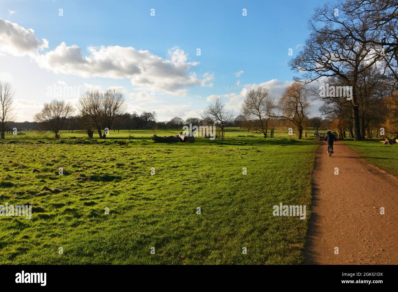 Landschaftsansicht von Biker und Bäumen im Richmond Park, London. Stockfoto